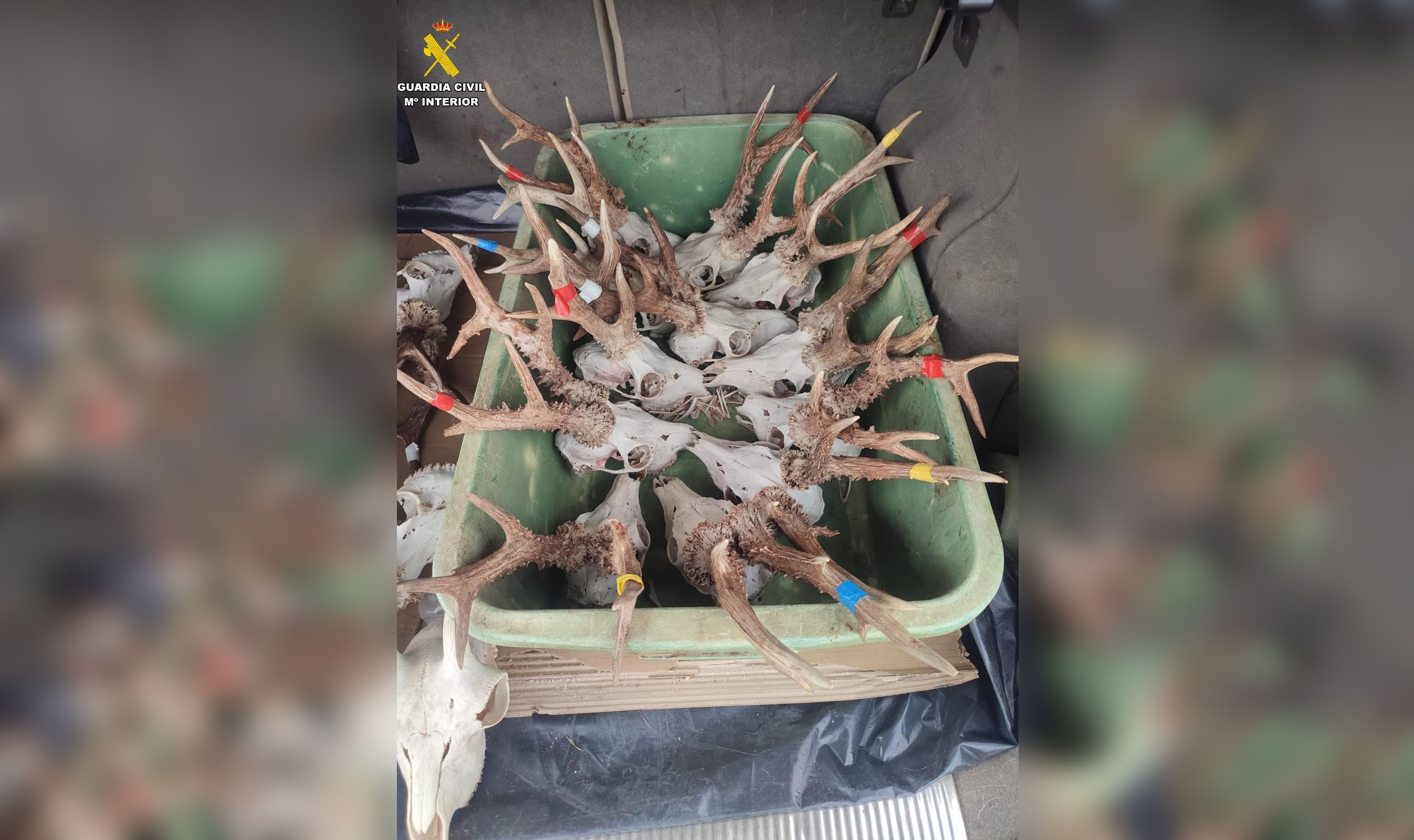 WhatsApp Image 2026 04 28 at 10.56.57