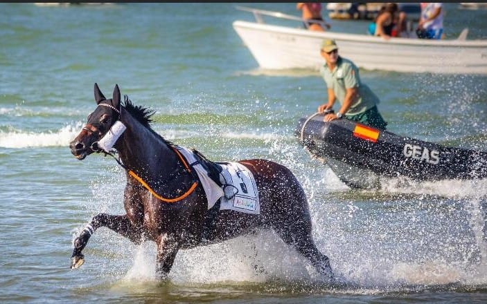 WhatsApp Image geas caballo desbocado