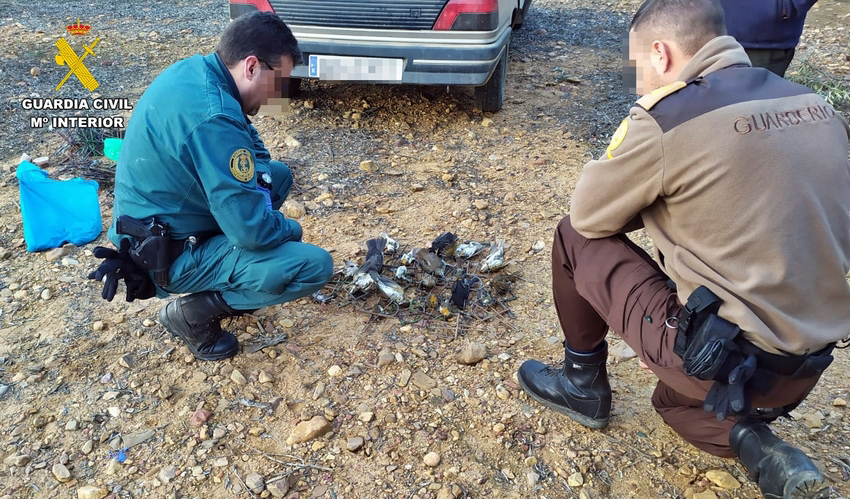 actuaciones colaboración 2