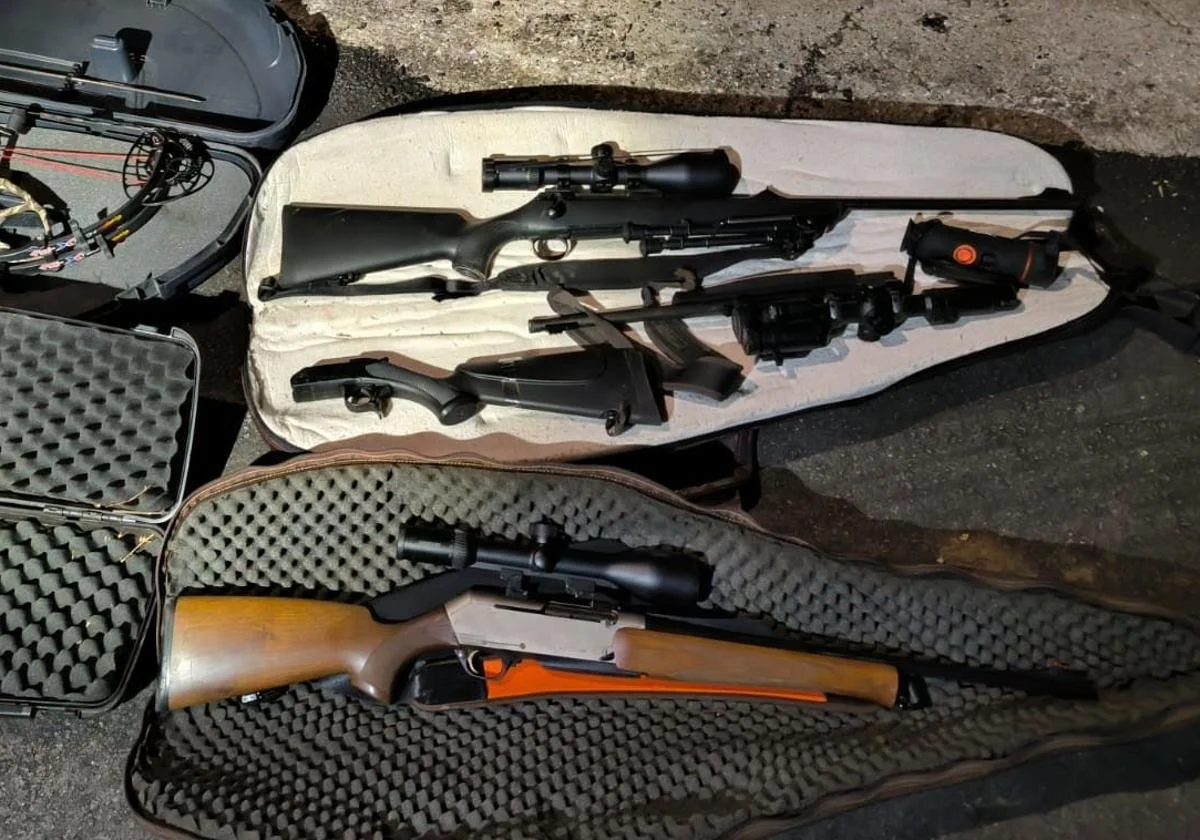armas intervenidas caza leon