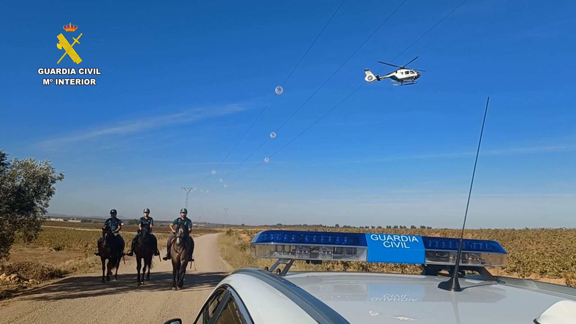 campana aceituna badajoz editada foto 03