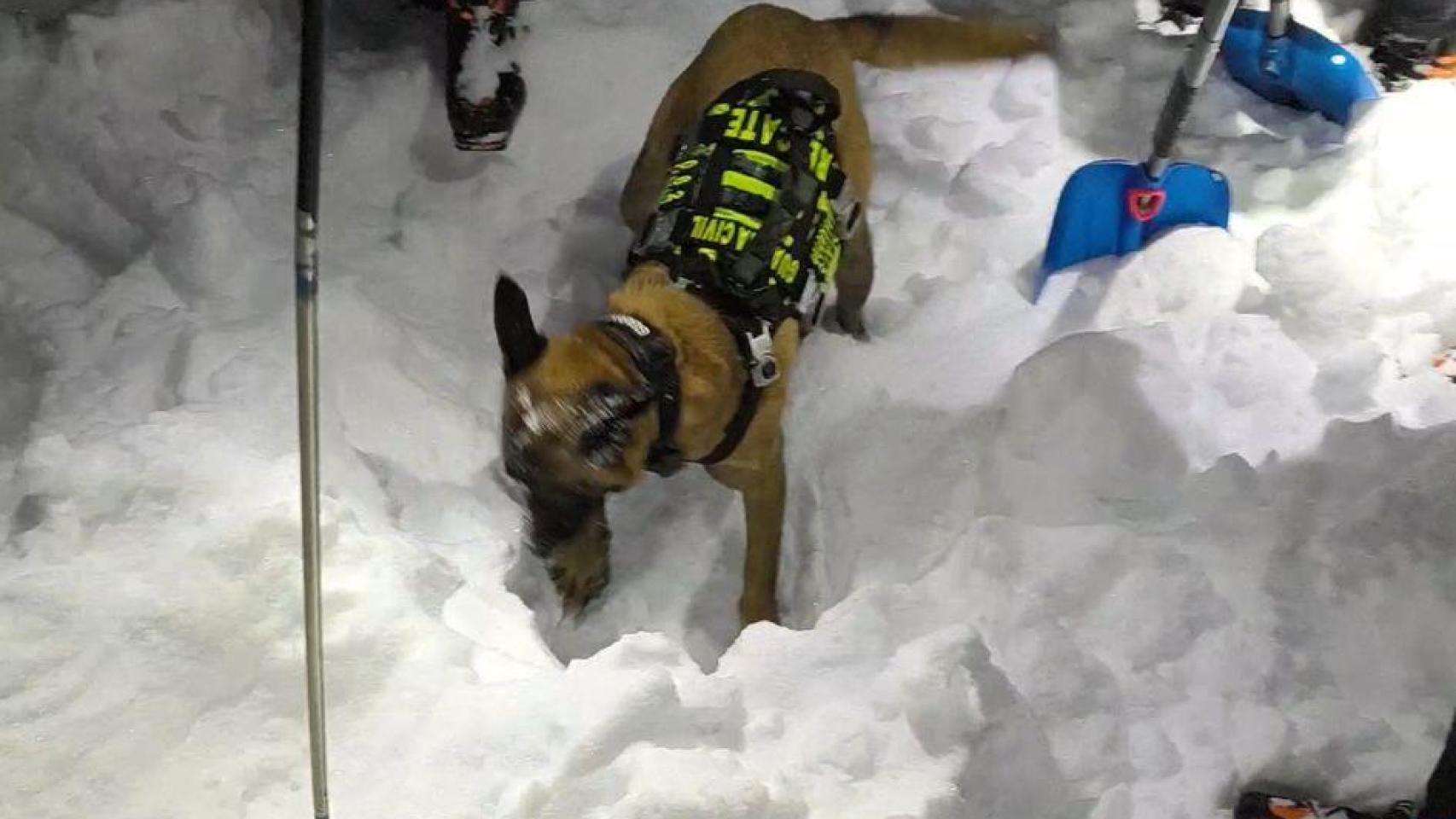 can greim jaca rescate