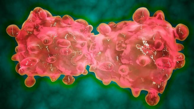 cancer celula de leucemia
