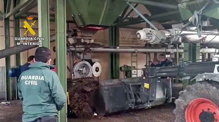 carga aceituna inmovilizada