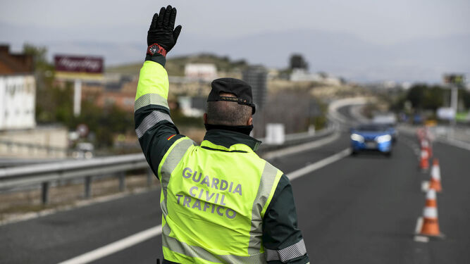 control Guardia Civil 1733837701 169372269 667x375