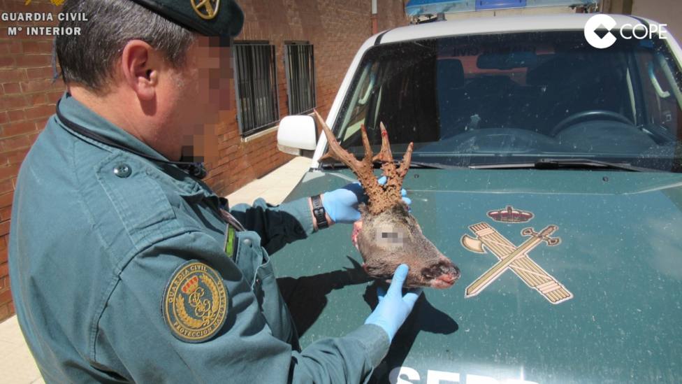 corzo guardia civil palencia
