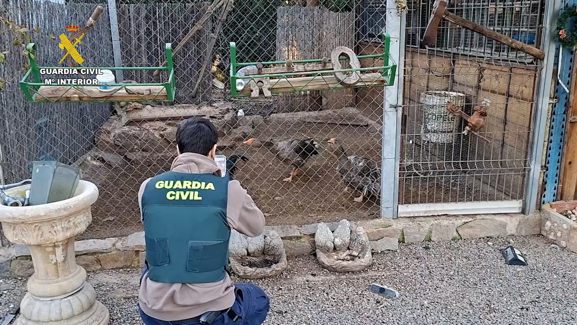 desfribrilador valencia editada.00 01 01 09.Imagen fija004