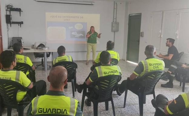 destacamento trafico lanzarote