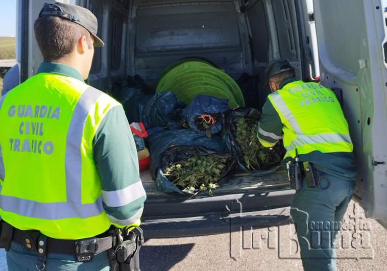 detenido trafico guardia civil guadalajara