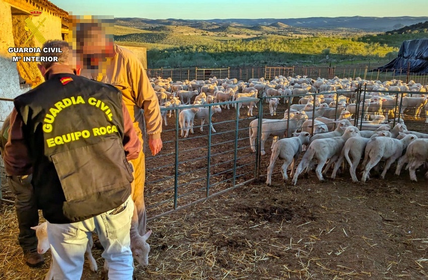 devolucion del ganado a su legitimo propietario