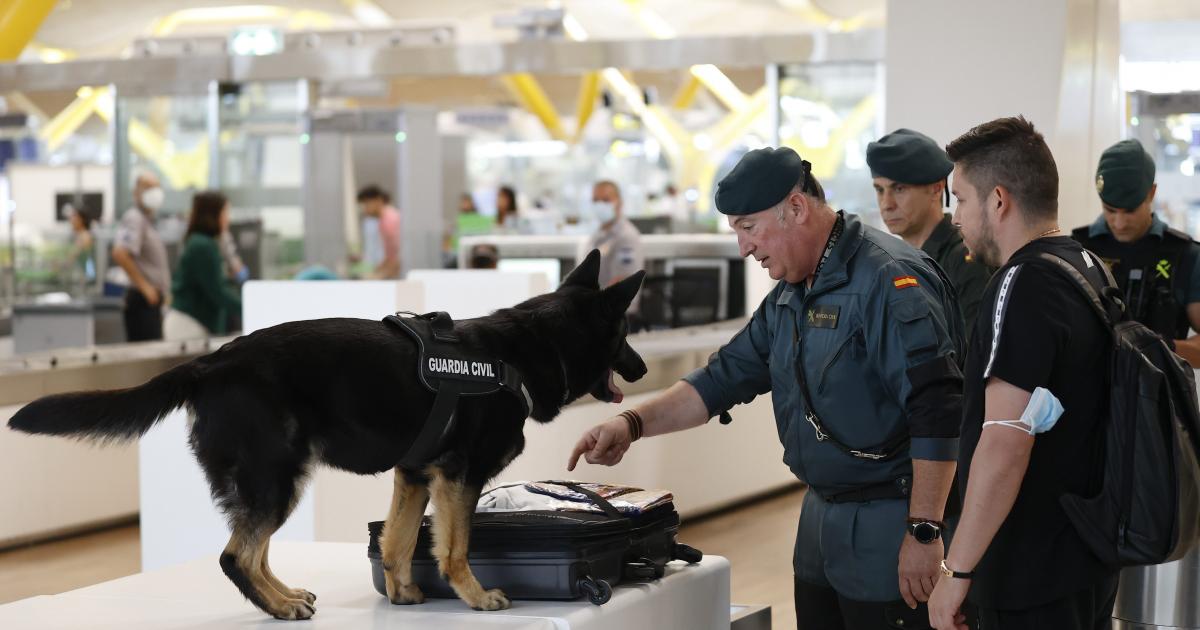 dispositivo de seguridad de la guardia civil en el aeropuerto adolfo suarez madrid barajas con motivo de cumbre de la otan