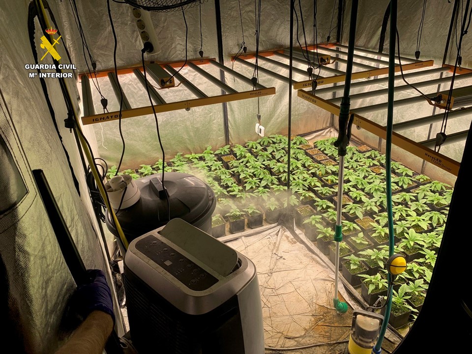 edit 04 plantacion marihuana ASPE