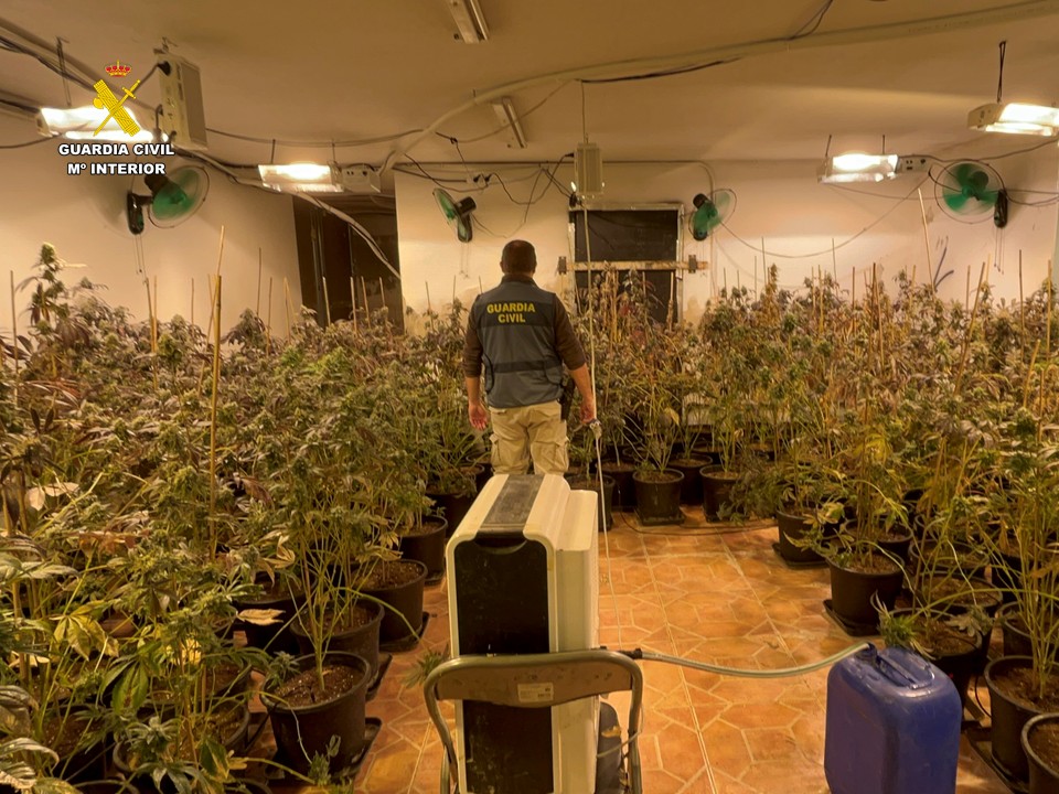 edit desmantelada plantacion marihuana SAN VICENTE RASPEIG 5