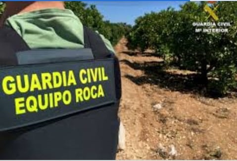 equipo roca