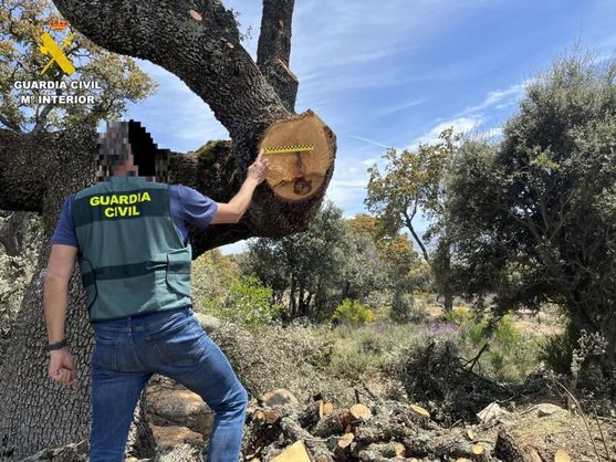 f.elconfidencial.com original c75 b75 25e c75b7525e69357a922e8e9e4ecbc39e0