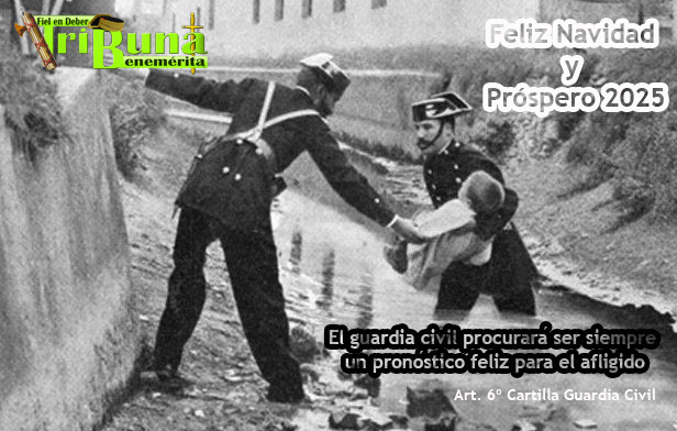 felicitacion navidad 2025 2