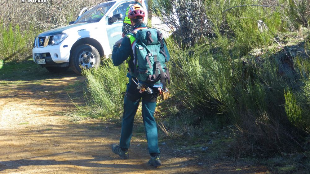 foto de archivo greim