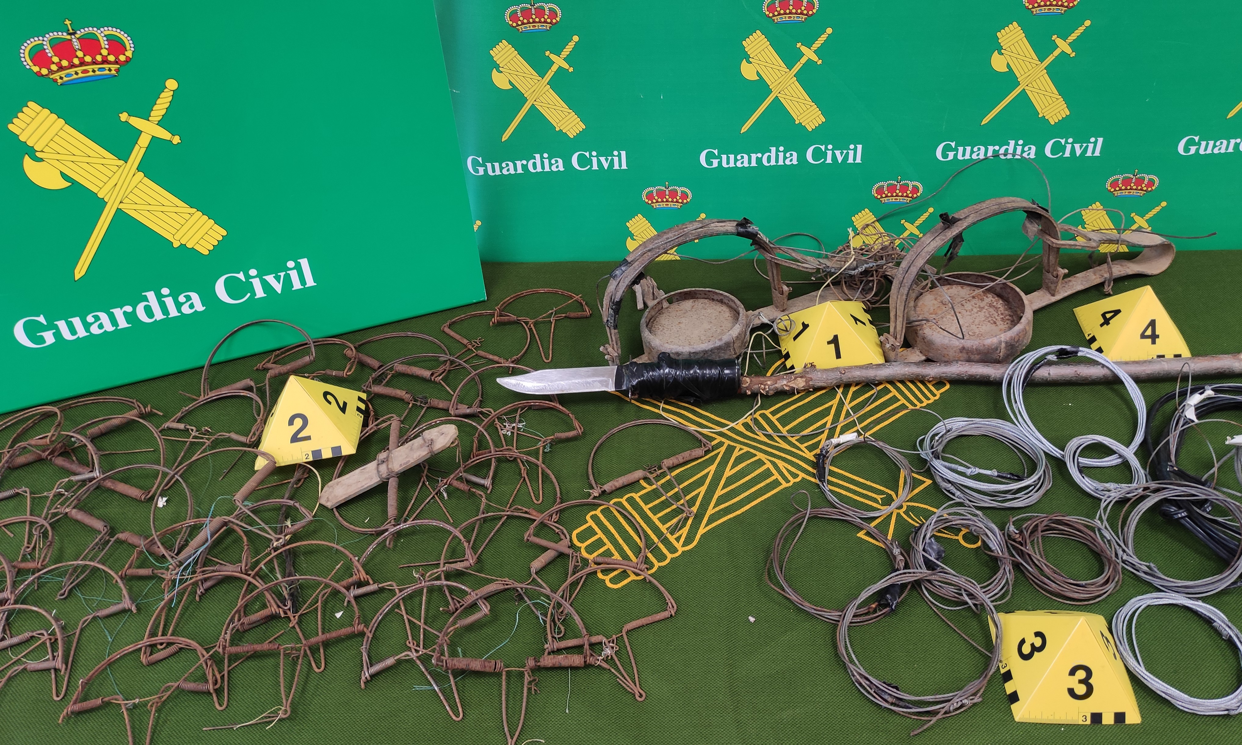 foto artes incutadas 