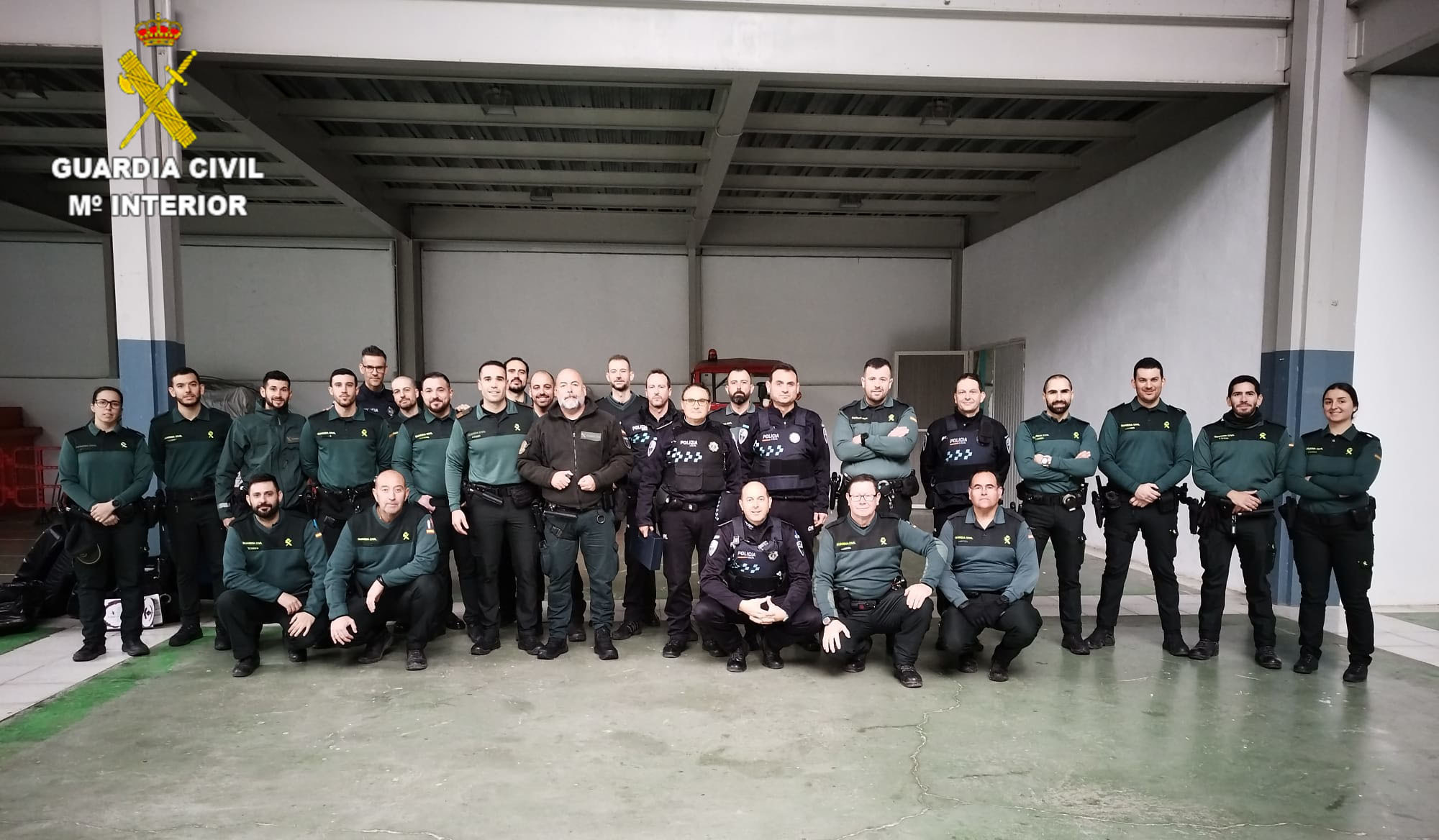 foto mosca
