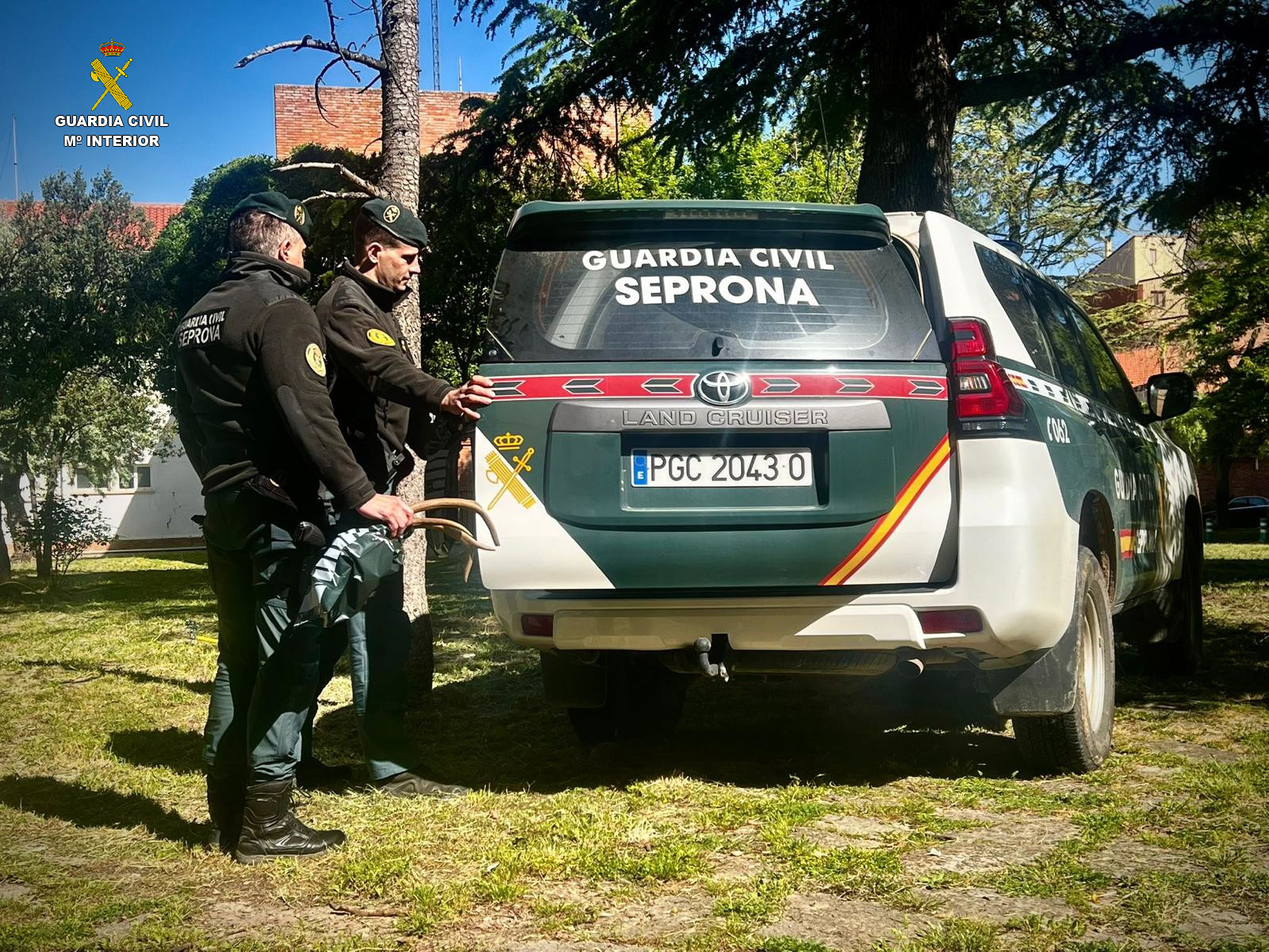 foto mosca seprona cuenca