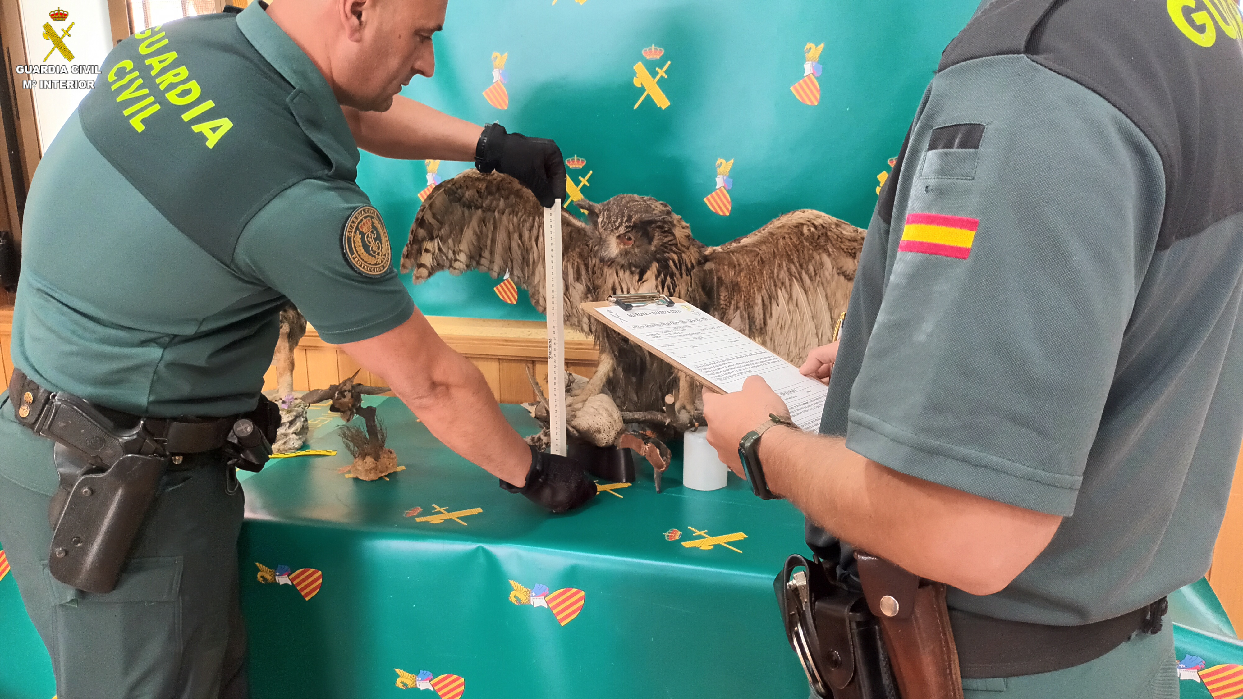 foto seprona valencia