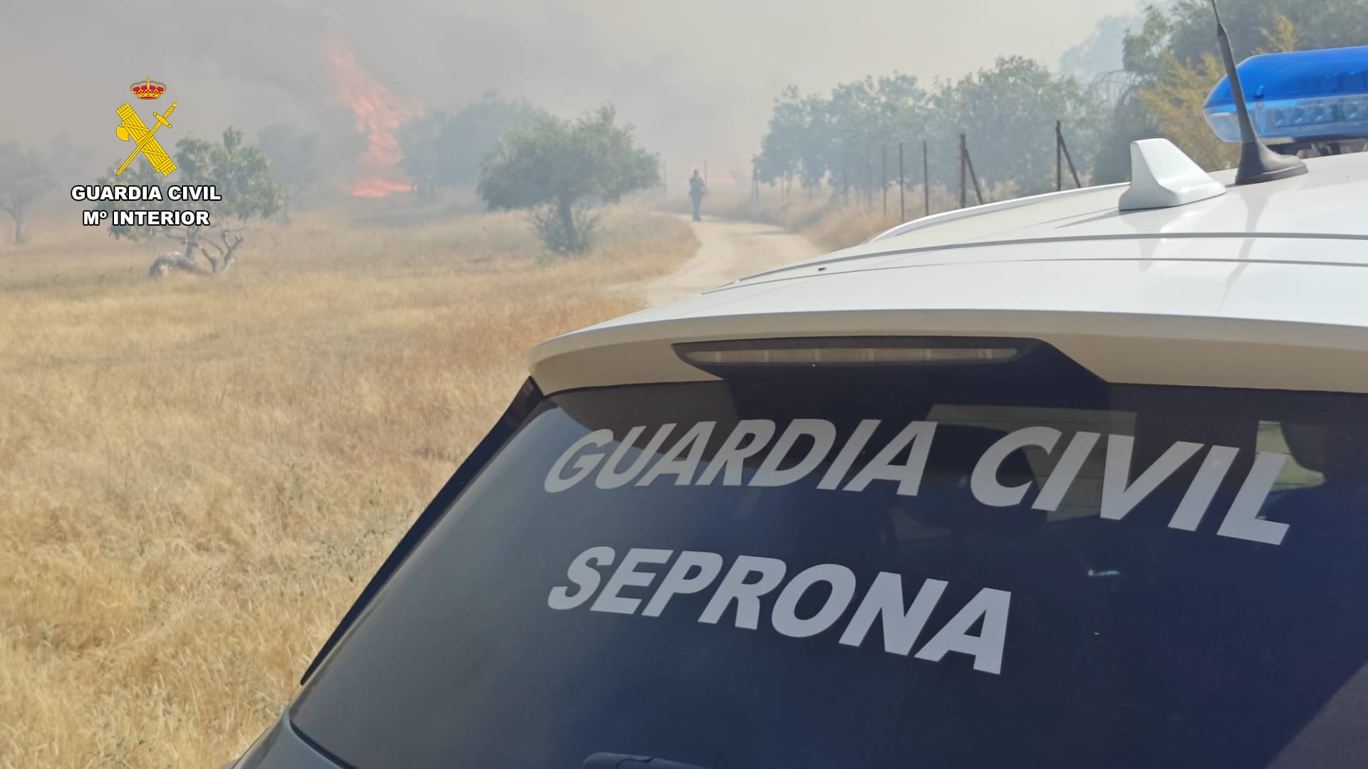 fotografía caceres 2026