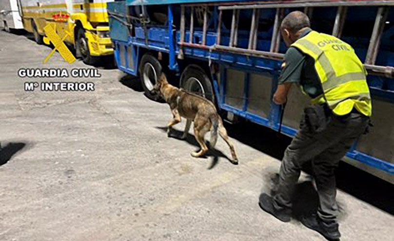 fotonoticia 20230915200148 420