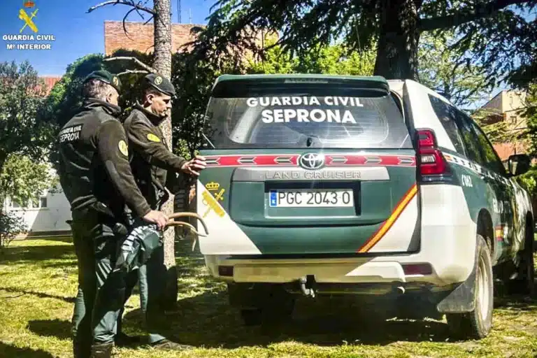 furtivo cuenca 1 768x512