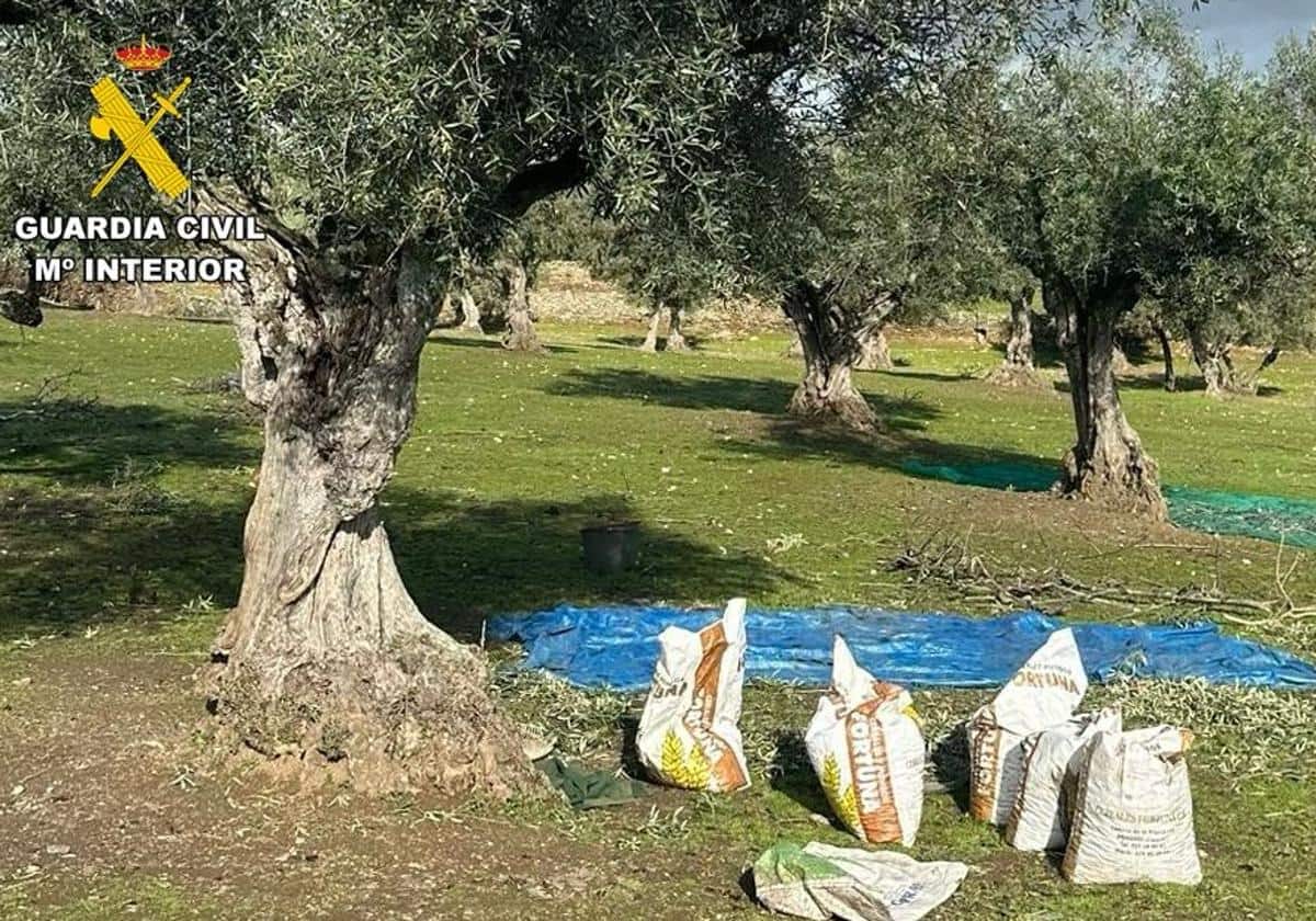 garroliva kg0C U2101104973242yEB 1200x840Hoy