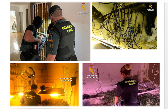 gc almeria plantacion