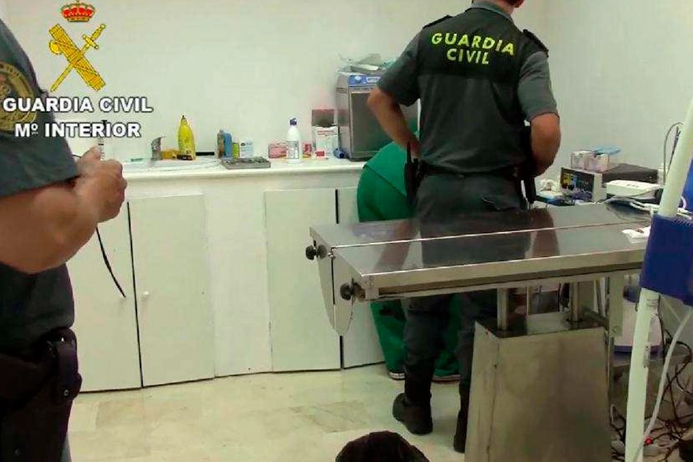 guardia civil actuacion clinica veterinaria mesa de trabajo