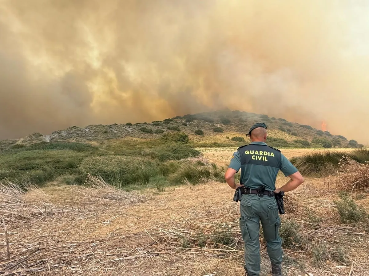 guardia civil colabora desalojo 400 ovejas incendio anorbe navarra