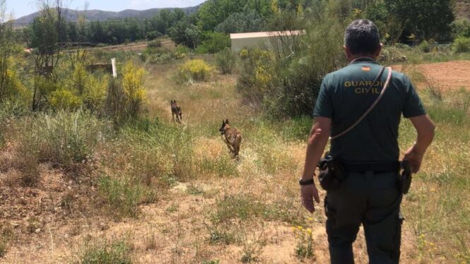 guardia civil cuerpo 665x374