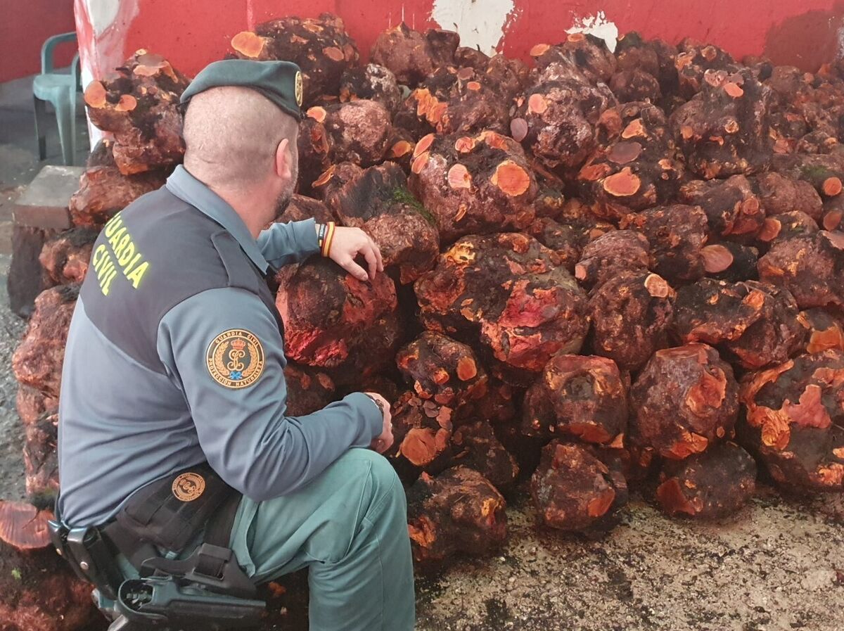 guardia civil varias incautadas Jimena 