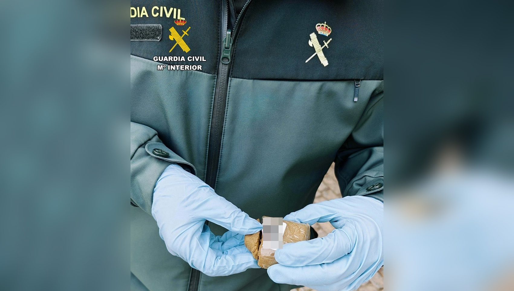 hachis intervenido