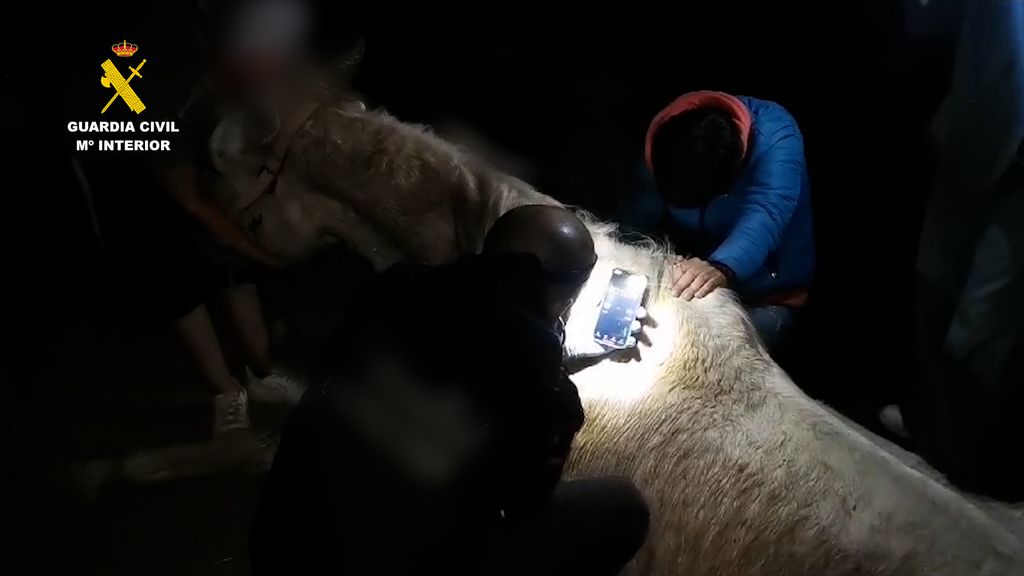 header 1706435718412 m