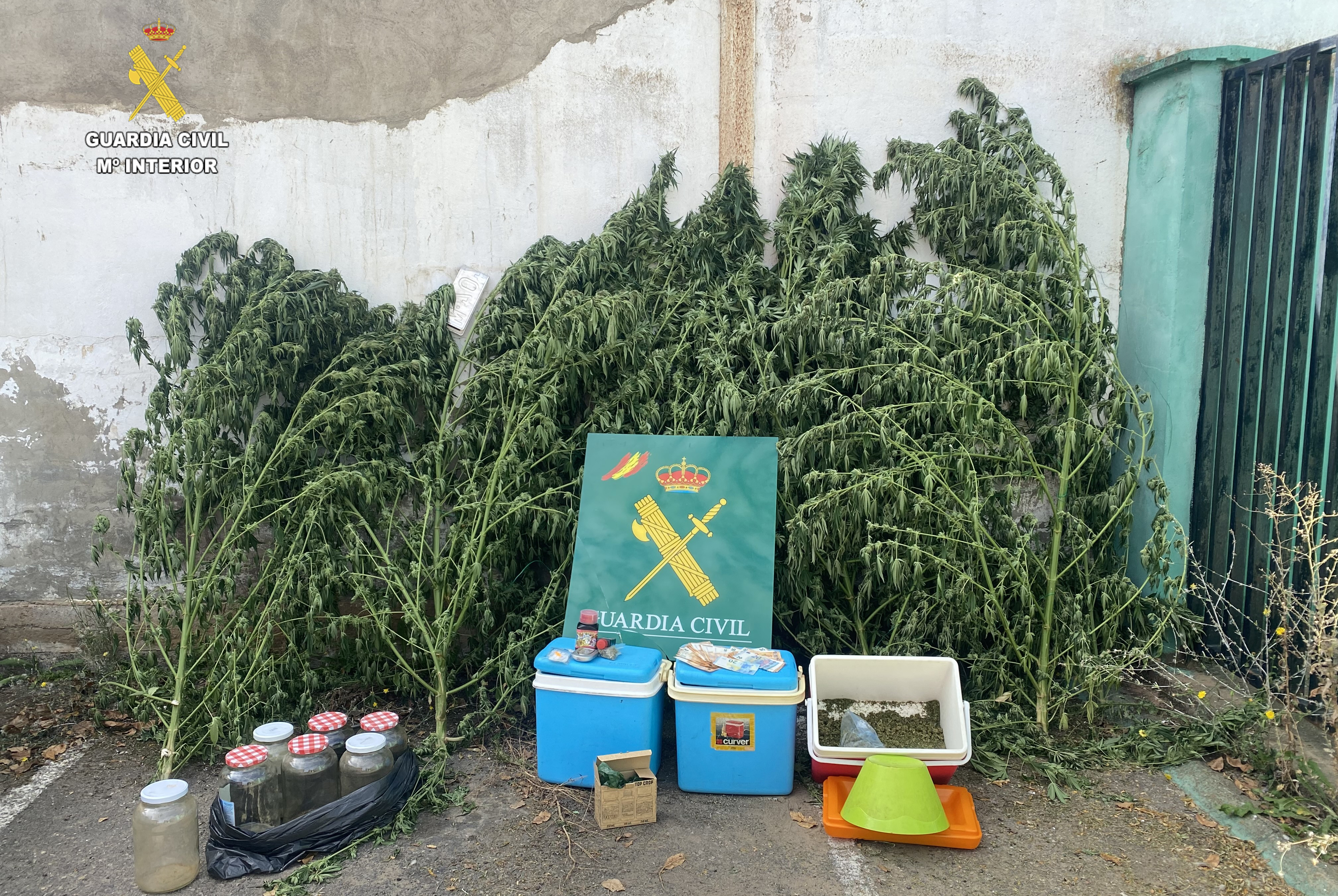 image 50733569 editada