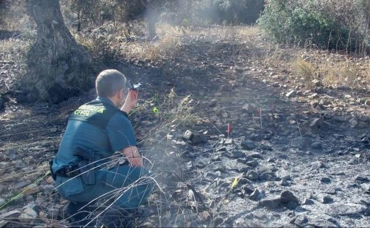 incendio investigacion guardia civil