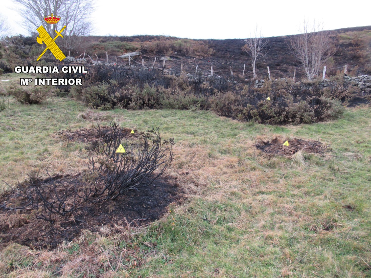incendio rioseco 1