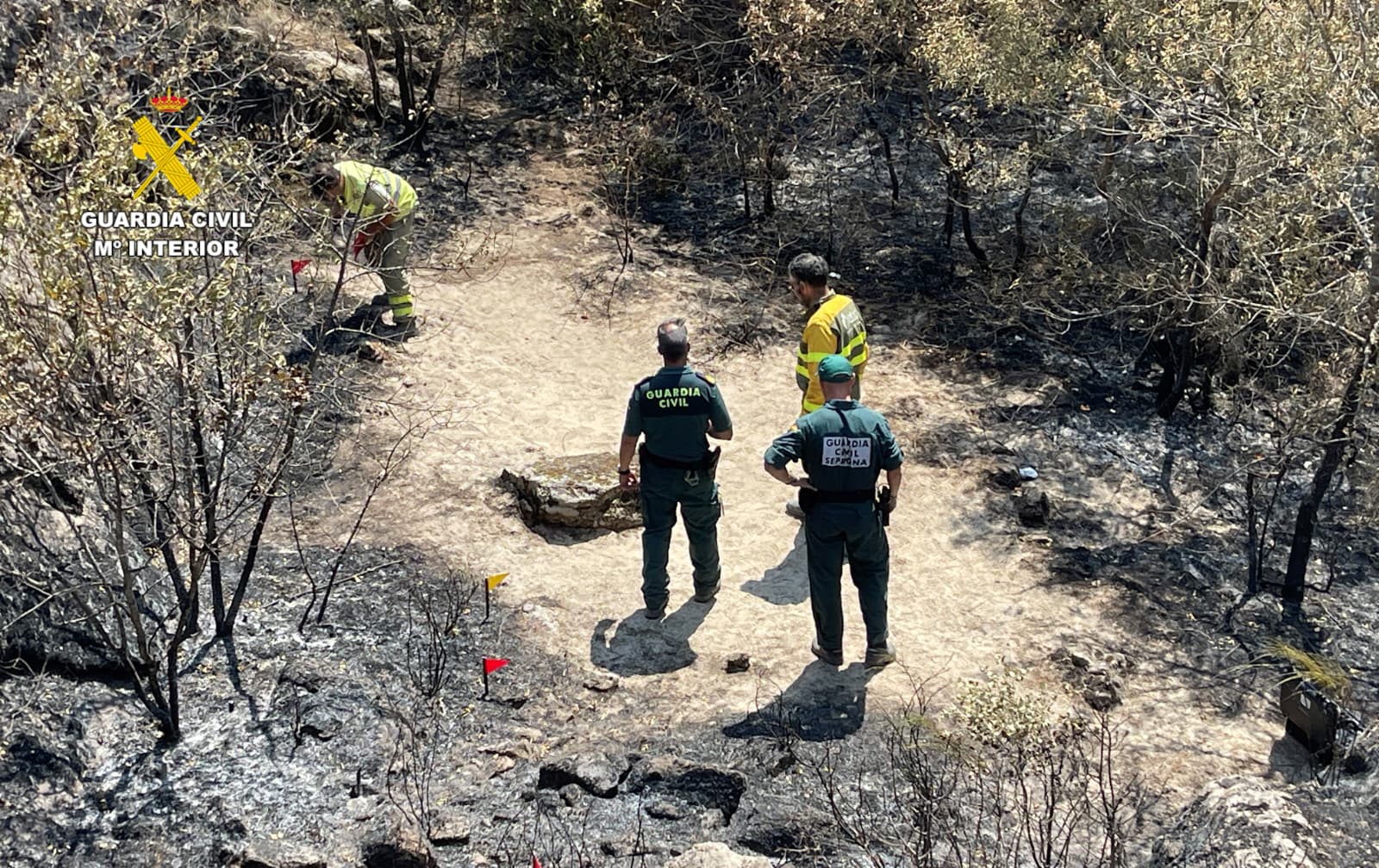incendio seprona 100926