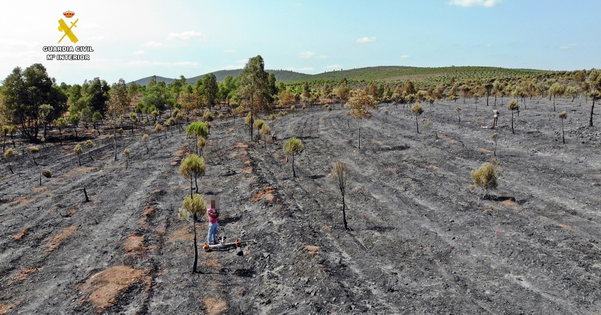 incendio sierra manchita 1