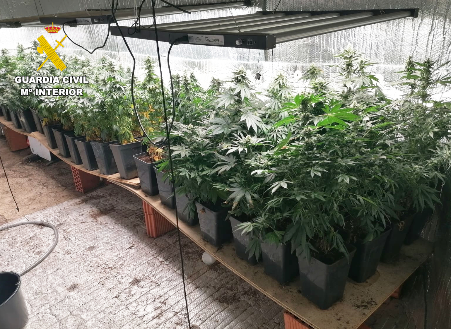 indoor