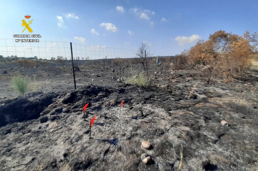 inspeccion ocular incendio