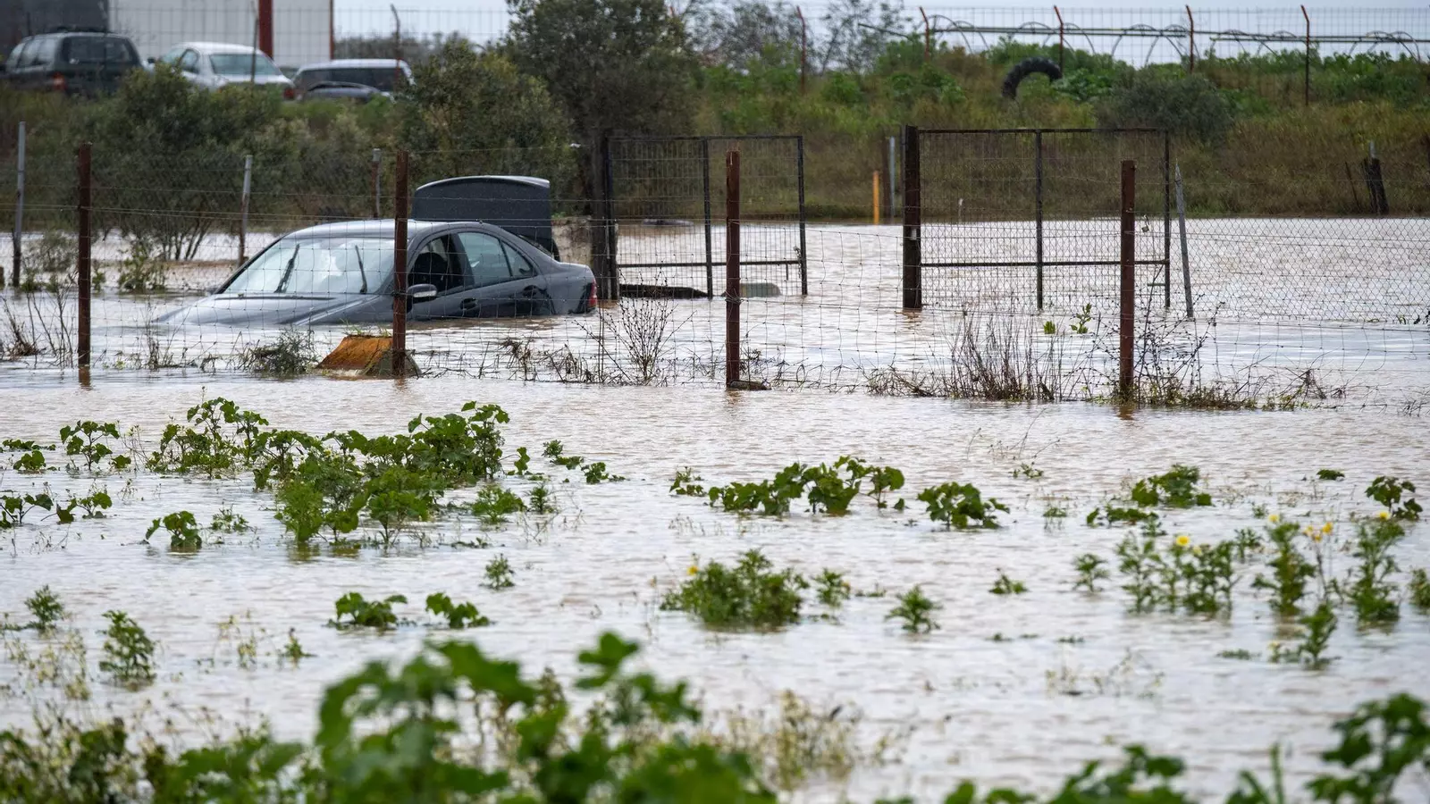inundaciones gibraleon