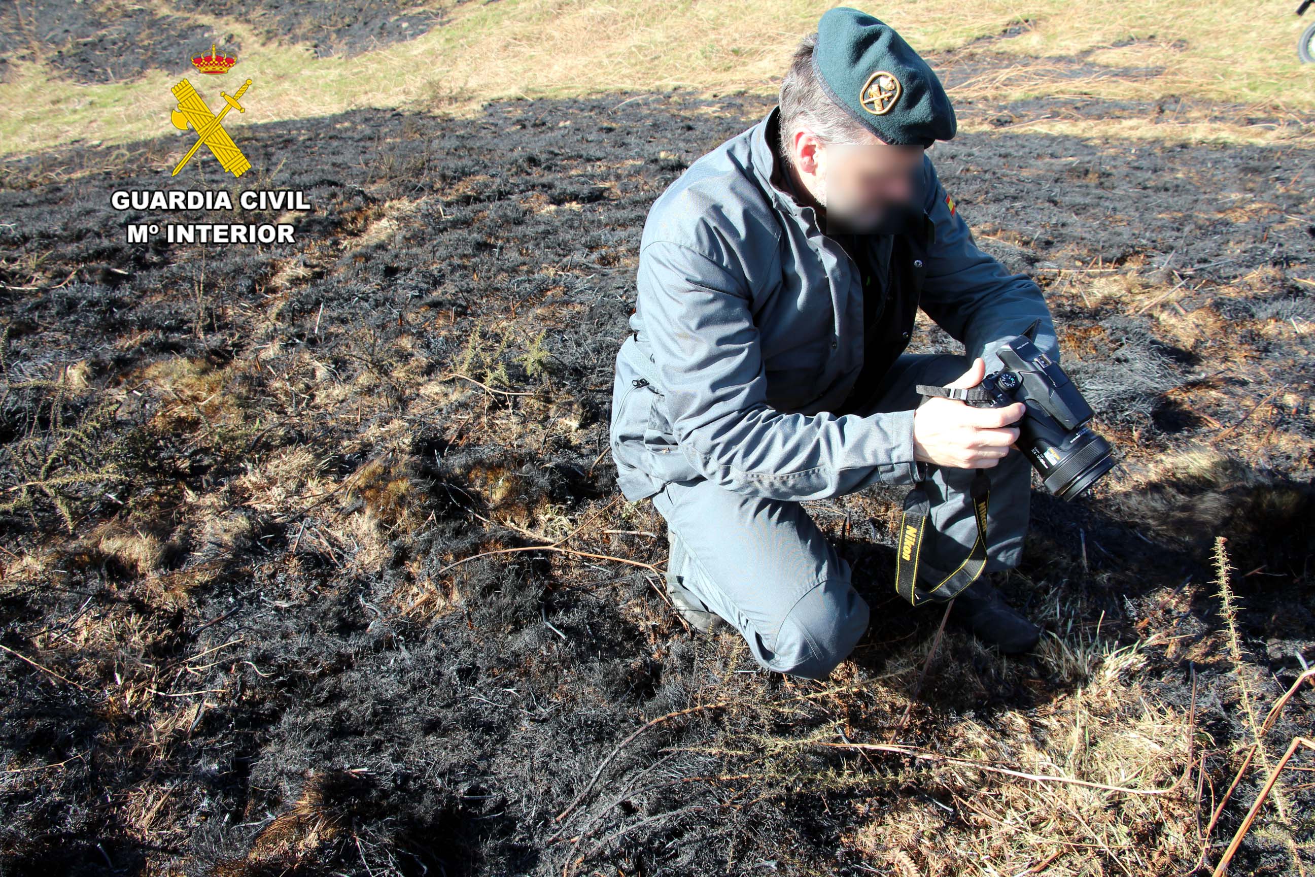 inve incendios seprona