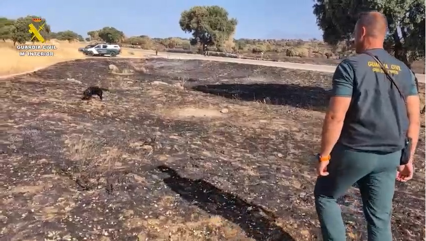 investigacion incendio colmenar viejo