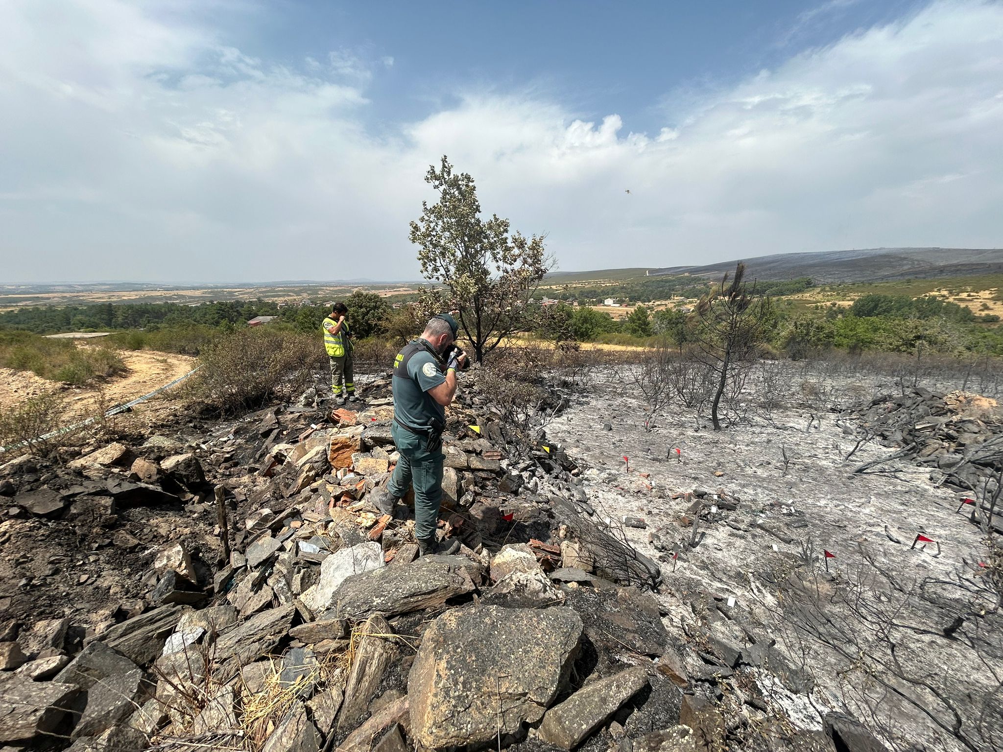 investigacion incendio zamora