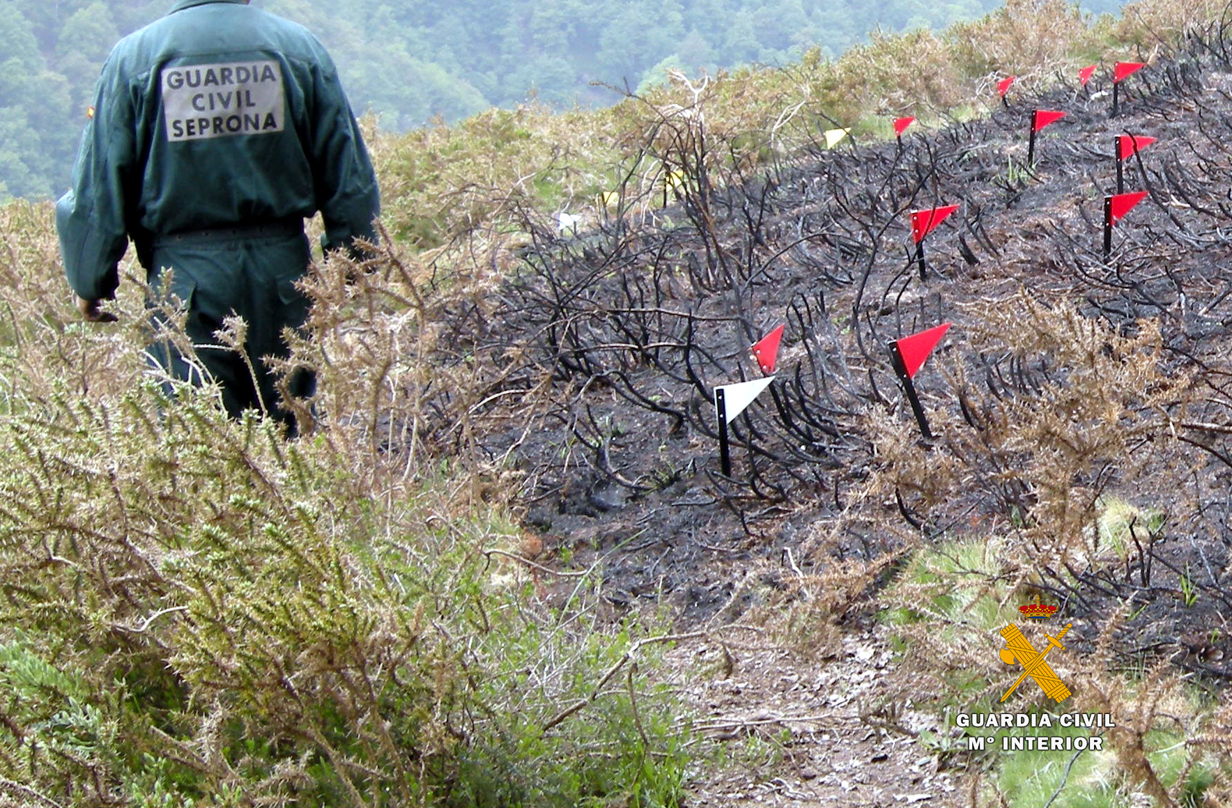 investigacion incendios