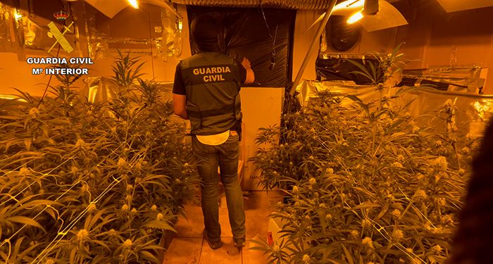 la guardia civil desmantela una plantacion de marihuana indoor en el cubillo de uceda
