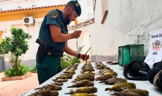 la guardia civil inve seprona